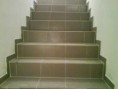 /album/fotogaleria/dsc00368-jpg/